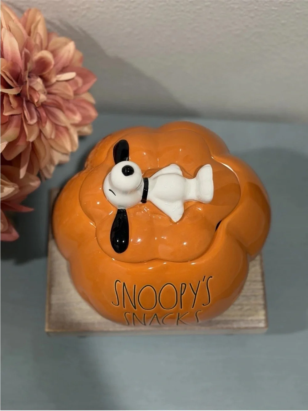 Rae Dunn x Peanuts Snoopy's Snacks Halloween Pumpkin Cookie Jar. Pet Treats